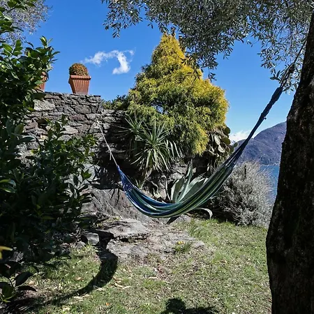 Apartment Ulivo Garden Lake View Pianello Del Lario